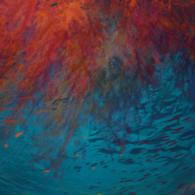 Life, art and fresh starts: Reflections from my studio this Fall