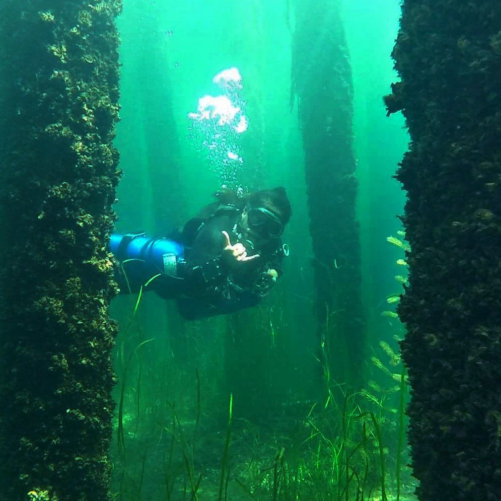 From Blue to Green can be a rewarding transistion – Aquatic Realm Scuba  Center