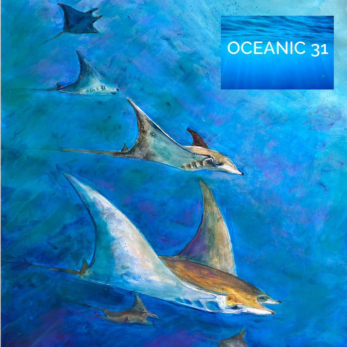Show Announcement: "Oceanic 31", a traveling exhibition around the U.K.