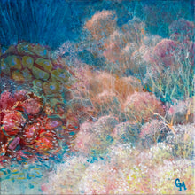 Load image into Gallery viewer, colourful soft and hard corals growing in a group together