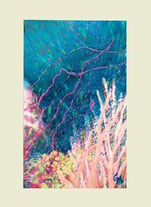 "Reaching" - Original acrylic painting of colourful coral reef