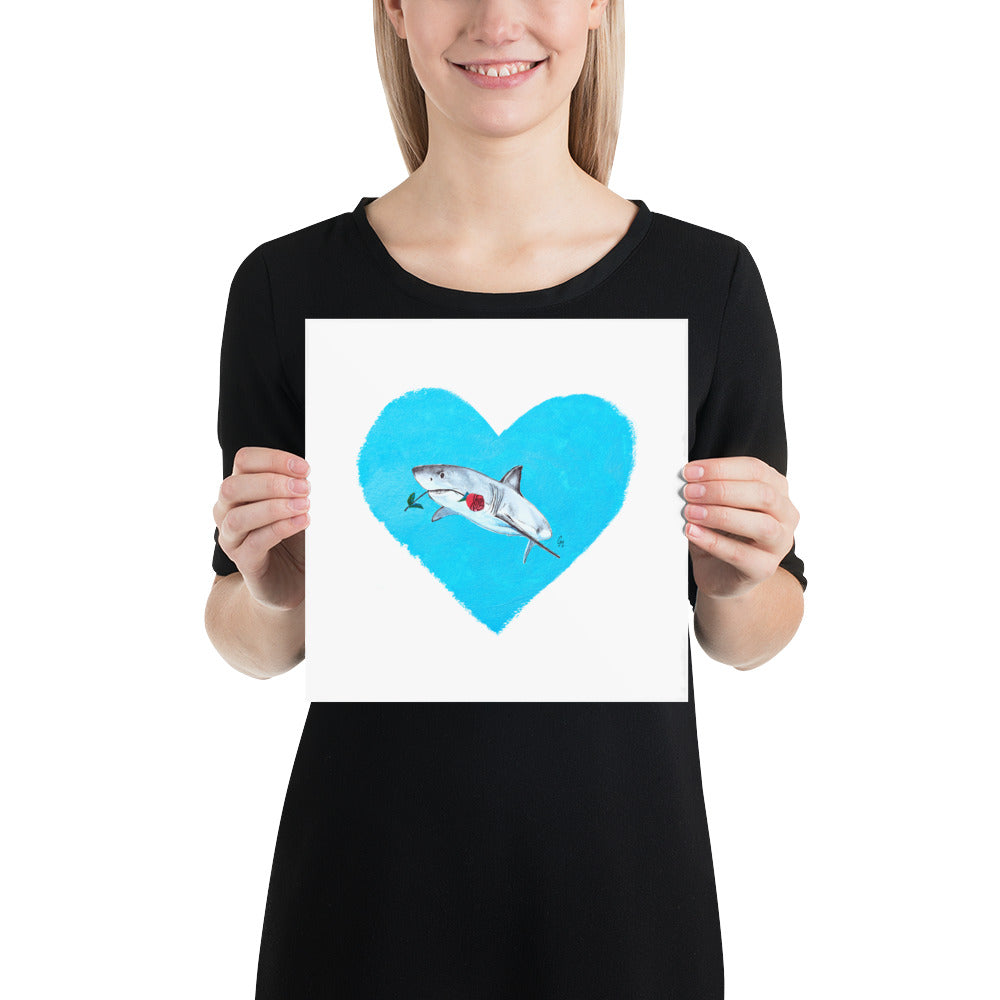Looking For Love Shark Print